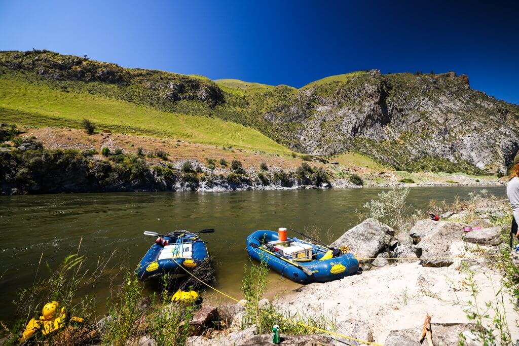 Two blue rafts float along the shore of the Salmon River.